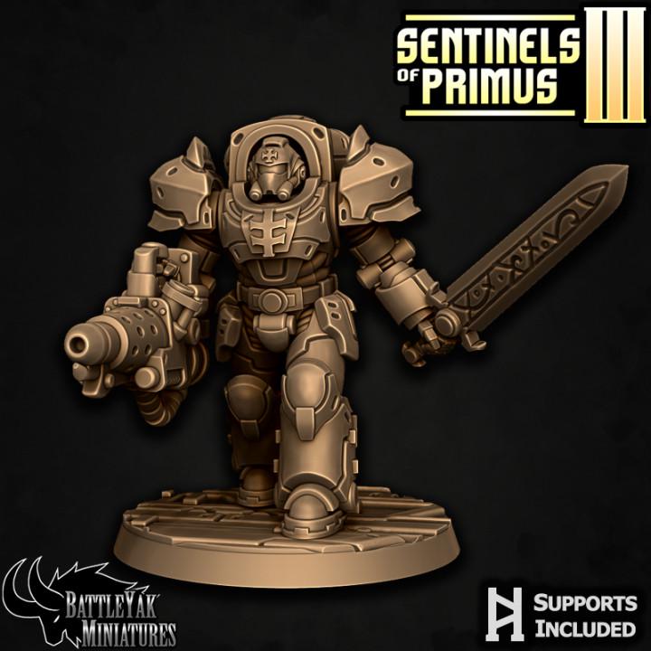 Sentinel Paladins of Primus, Ranged (6 Variants Available) - Battle Yak