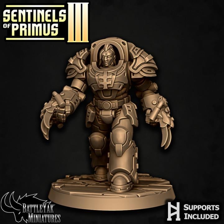 Sentinel Paladins of Primus, Melee (6 Variants Available) - Battle Yak