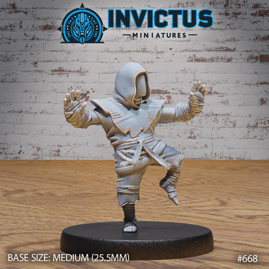 Ninja Clan, Set 3 (3 Variants Available) - Invictus Miniatures