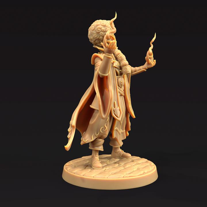 Bobbert Rosslin, Court Wizard - Dragon Trapper's Lodge
