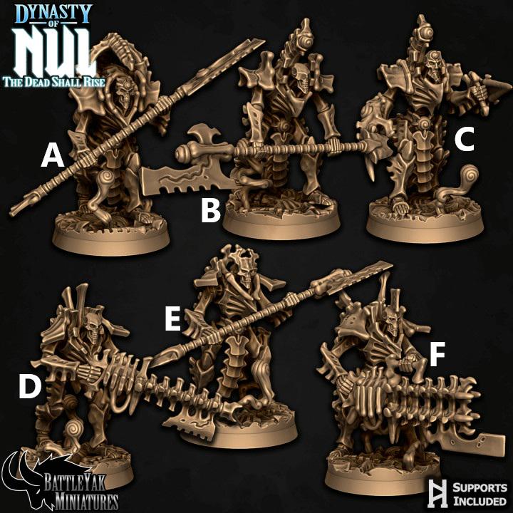 Reborn Dynasty Legionnaires, Set 2 (6 Variants Available) - Battle Yak