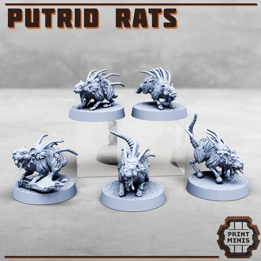 Putrid Rats (5 Variants Available) - Print Minis