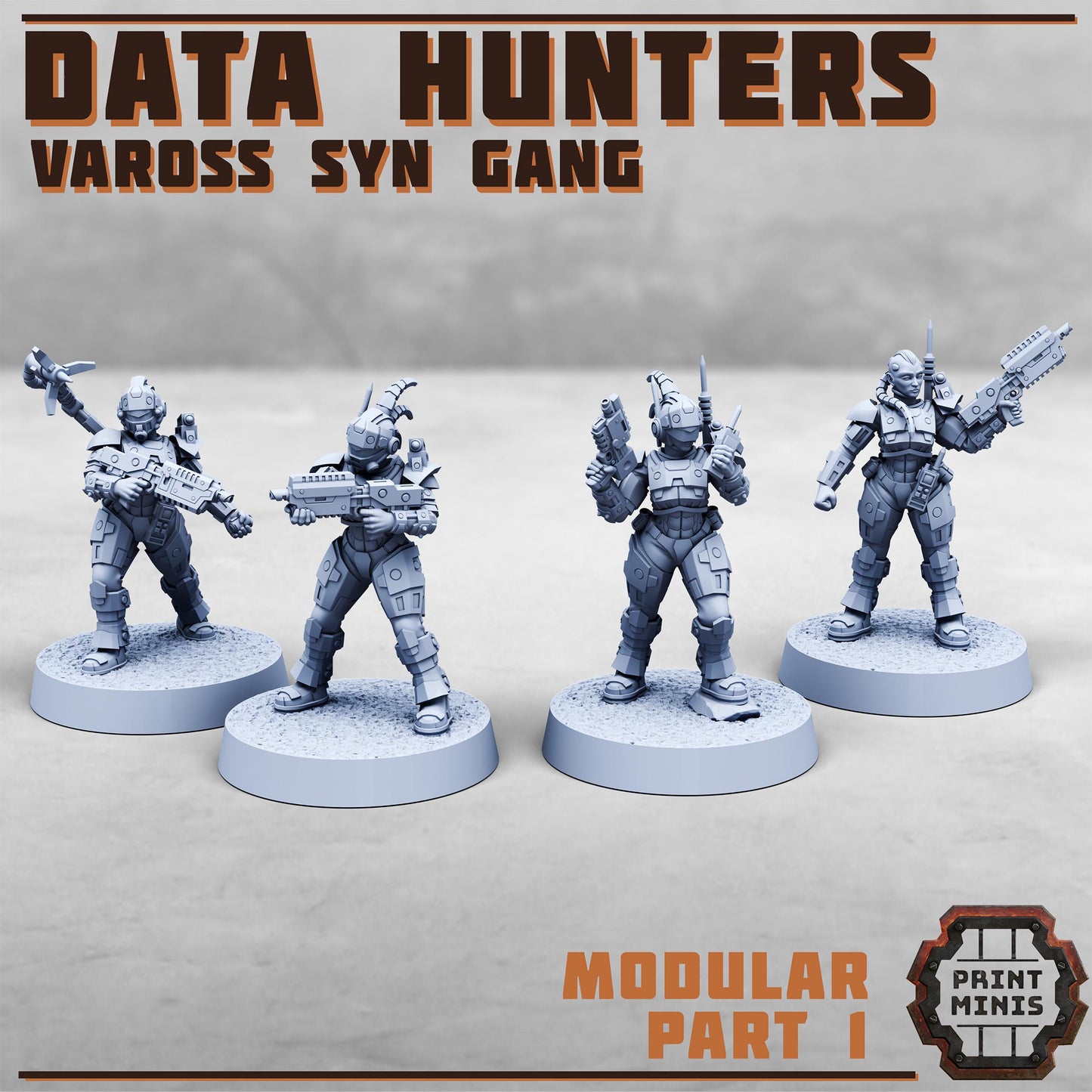 Data Hunters, Vaross Syn Gang (4 Variants Available) - Print Minis