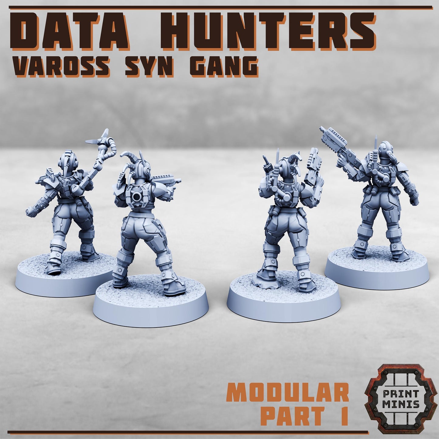Data Hunters, Vaross Syn Gang (4 Variants Available) - Print Minis