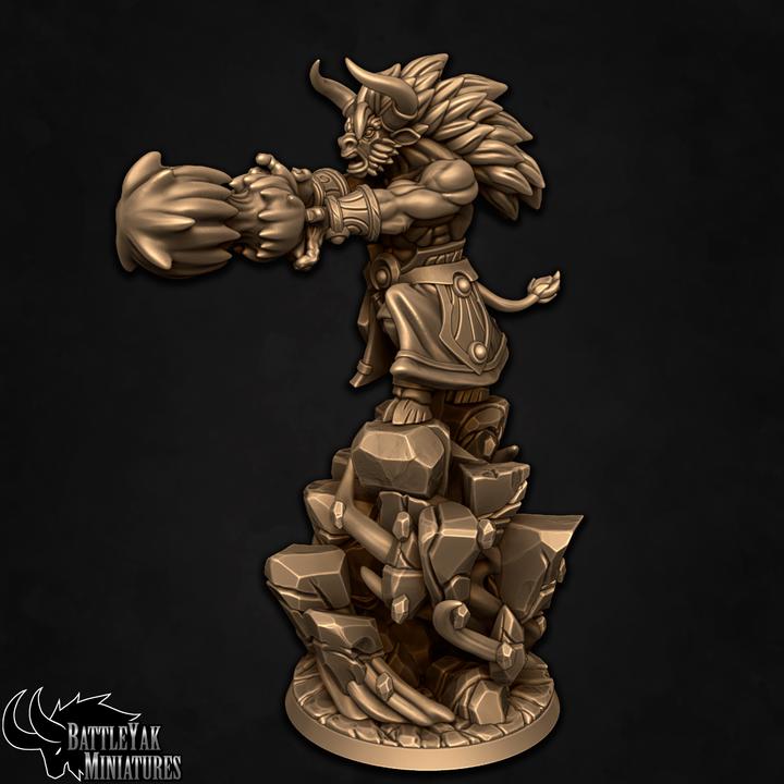 Runemaster of the Essence Fist - Battle Yak