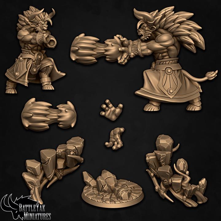 Runemaster of the Essence Fist - Battle Yak