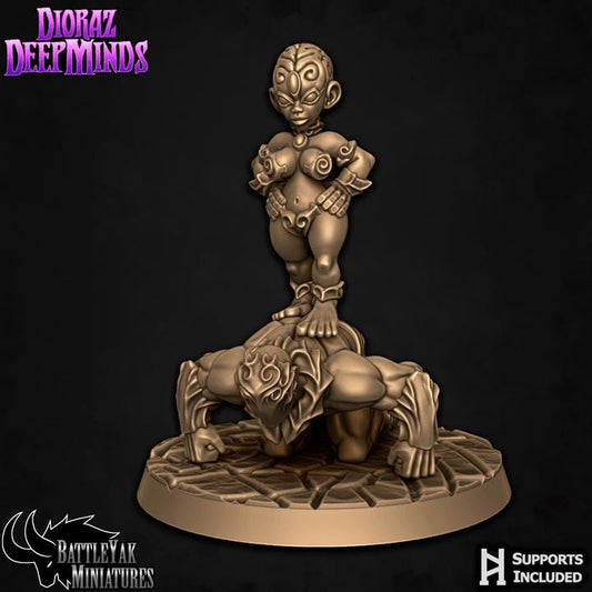 Dioraz Subjugator, Diorama - Battle Yak
