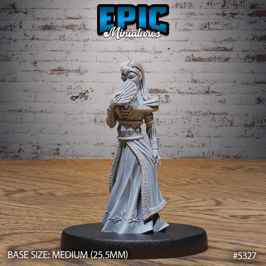 Noble, Set 2 (4 Variants Available) - Epic Miniatures