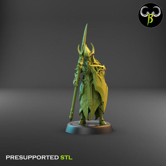 Cultists of the Web - Melee, Dark Elf Lance Squad 1 (4 Variants Available) - Clay Beast Creations