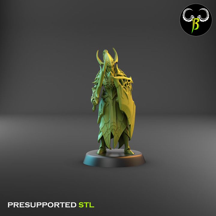 Cultists of the Web - Melee, Dark Elf Lance Squad 1 (4 Variants Available) - Clay Beast Creations