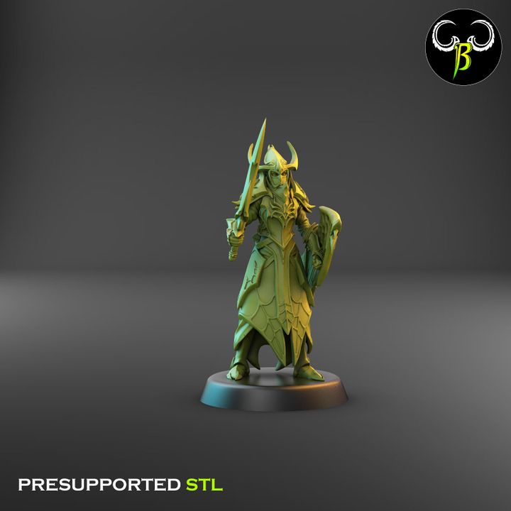 Cultists of the Web - Melee, Dark Elf Sword Squad 1 (4 Variants Available) - Clay Beast Creations