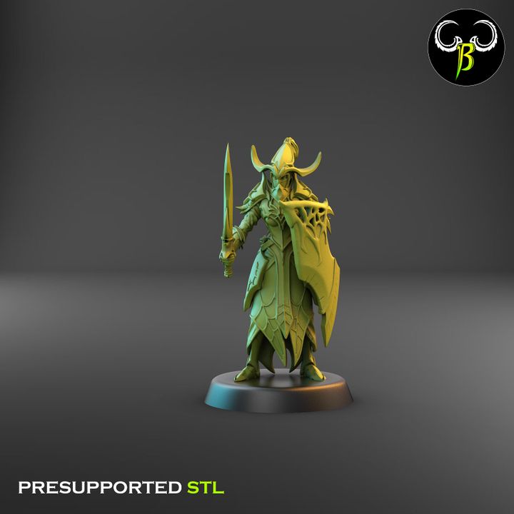 Cultists of the Web - Melee, Dark Elf Lance Squad 1 (4 Variants Available) - Clay Beast Creations