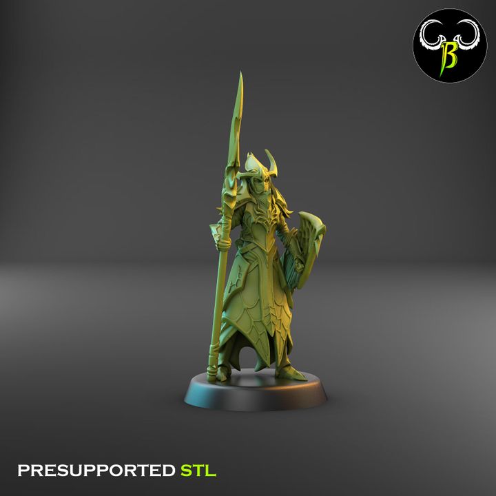Cultists of the Web - Melee, Dark Elf Sword Squad 1 (4 Variants Available) - Clay Beast Creations