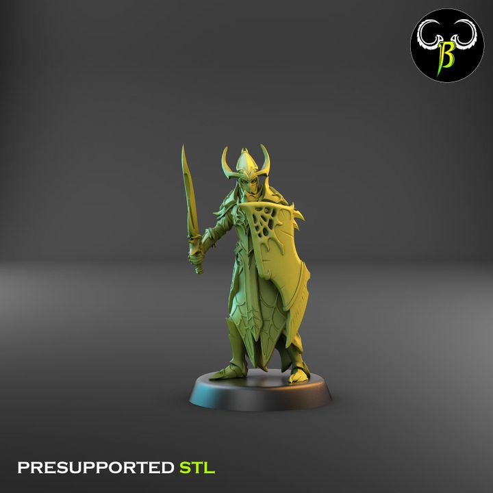 Cultists of the Web - Melee, Dark Elf Sword Squad 1 (4 Variants Available) - Clay Beast Creations