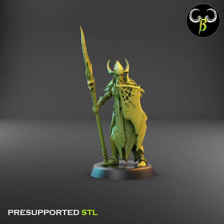 Cultists of the Web - Melee, Dark Elf Lance Squad 2 (4 Variants Available) - Clay Beast Creations