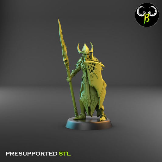 Cultists of the Web - Melee, Dark Elf Lance Squad 2 (4 Variants Available) - Clay Beast Creations