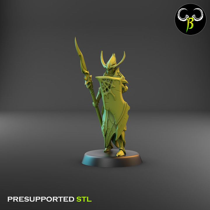 Cultists of the Web - Melee, Dark Elf Lance Squad 2 (4 Variants Available) - Clay Beast Creations