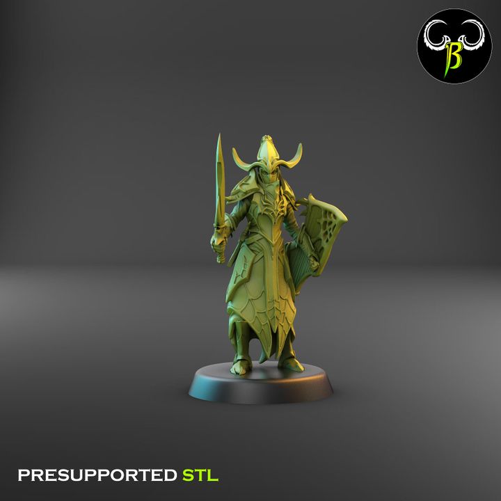 Cultists of the Web - Melee, Dark Elf Lance Squad 2 (4 Variants Available) - Clay Beast Creations (Copy)