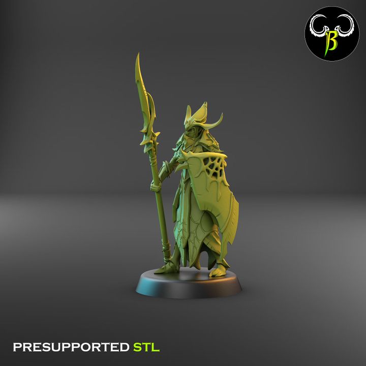 Cultists of the Web - Melee, Dark Elf Lance Squad 2 (4 Variants Available) - Clay Beast Creations