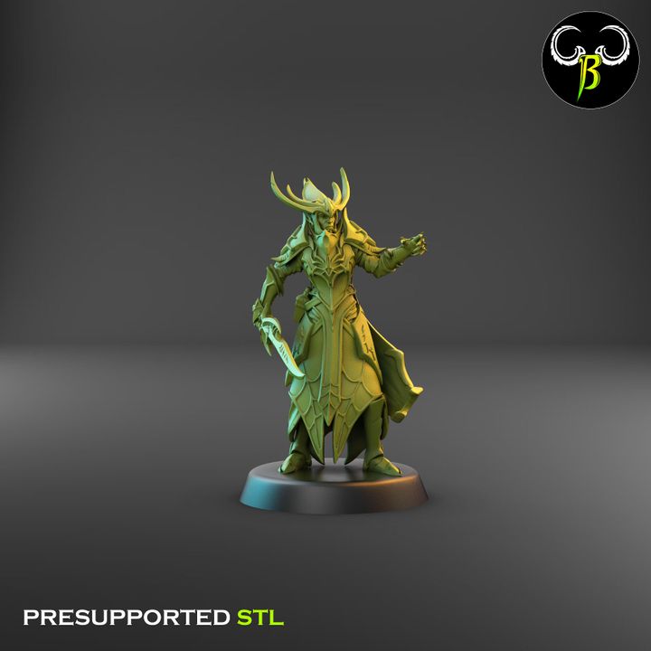 Cultists of the Web - Dark Elf Leader Squad (3 Variants Available) - Clay Beast Creations