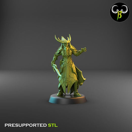 Cultists of the Web - Dark Elf Leader Squad (3 Variants Available) - Clay Beast Creations