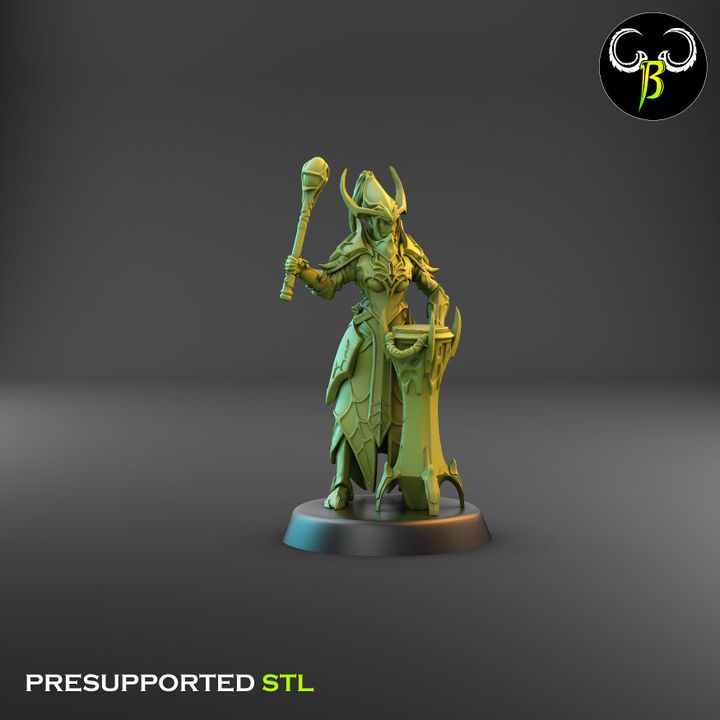 Cultists of the Web - Dark Elf Leader Squad (3 Variants Available) - Clay Beast Creations