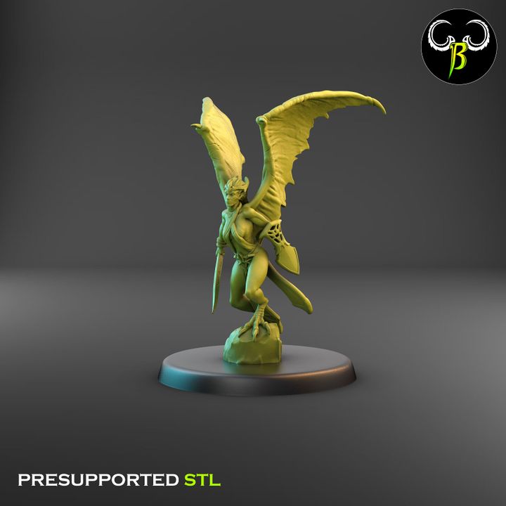 Dark Raptors - Bat-Winged Harpies, Weapon Squad (7 Variants Available) - Clay Beast Creations