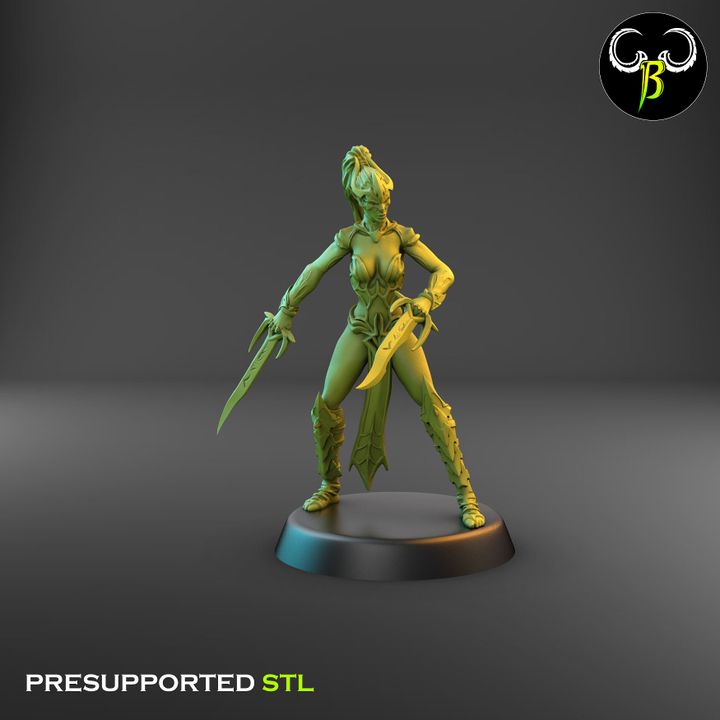 Spider Cultists, Dark Elf Double Blade Squad (9 Variants Available) - Clay Beast Creations
