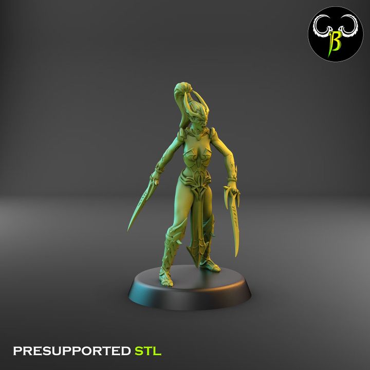 Spider Cultists, Dark Elf Double Blade Squad (9 Variants Available) - Clay Beast Creations