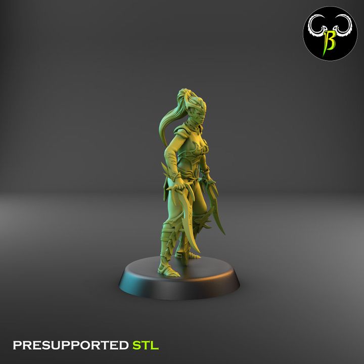 Spider Cultists, Dark Elf Double Blade Squad (9 Variants Available) - Clay Beast Creations