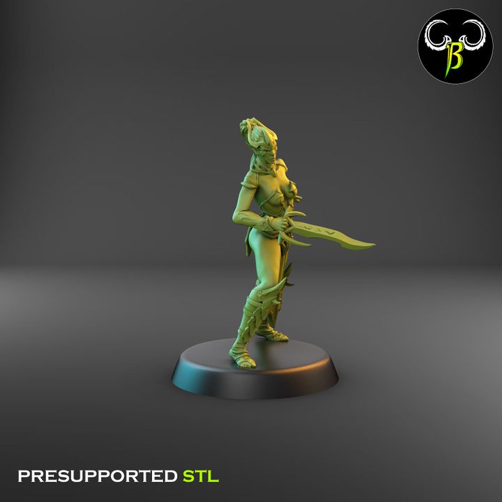 Spider Cultists, Dark Elf Double Blade Squad (9 Variants Available) - Clay Beast Creations