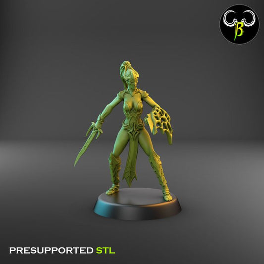 Spider Cultists, Dark Elf Blade & Shield Squad (9 Variants Available) - Clay Beast Creations