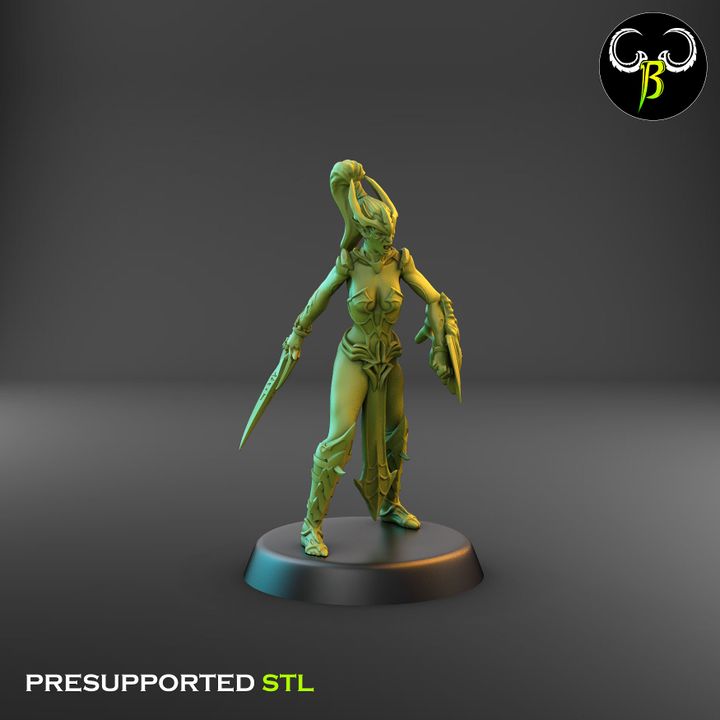Spider Cultists, Dark Elf Blade & Shield Squad (9 Variants Available) - Clay Beast Creations