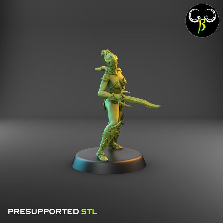 Spider Cultists, Dark Elf Blade & Shield Squad (9 Variants Available) - Clay Beast Creations