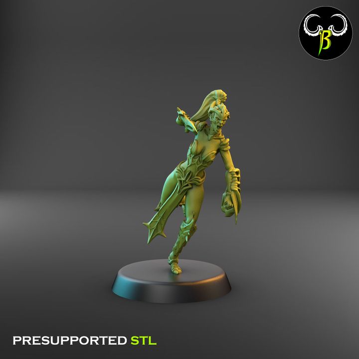 Spider Cultists, Dark Elf Blade & Shield Squad (9 Variants Available) - Clay Beast Creations