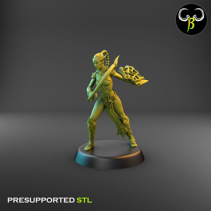 Spider Cultists, Dark Elf Whip & Shield Squad (9 Variants Available) - Clay Beast Creations