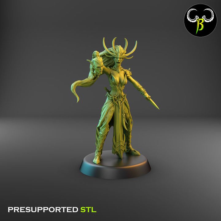High Devout, Spider Cultist Leaders - Dark Elf Priests (3 Variants Available) - Clay Beast Creations