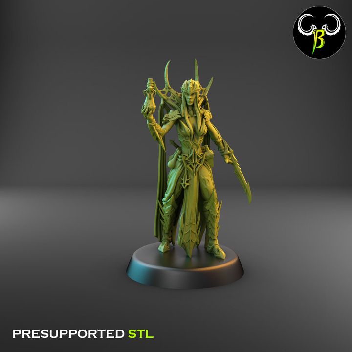 High Devout, Spider Cultist Leaders - Dark Elf Priests (3 Variants Available) - Clay Beast Creations