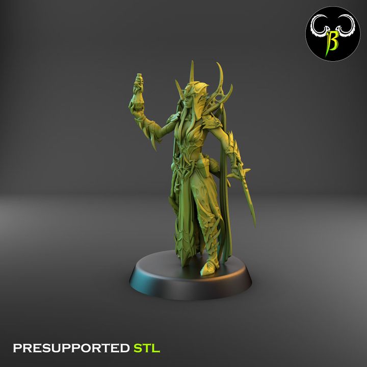 High Devout, Spider Cultist Leaders - Dark Elf Priests (3 Variants Available) - Clay Beast Creations