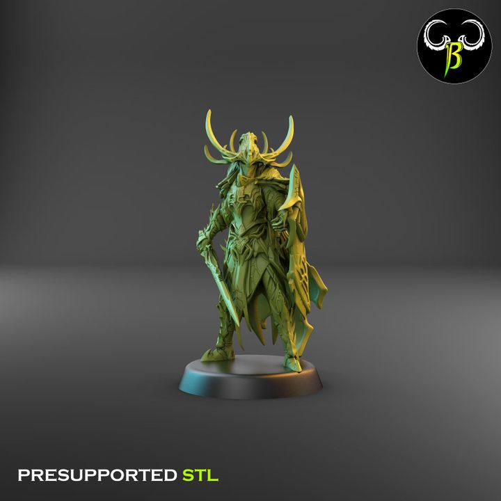 Venom Lords, Dark Elf Leaders (4 Variants Available) - Clay Beast Creations
