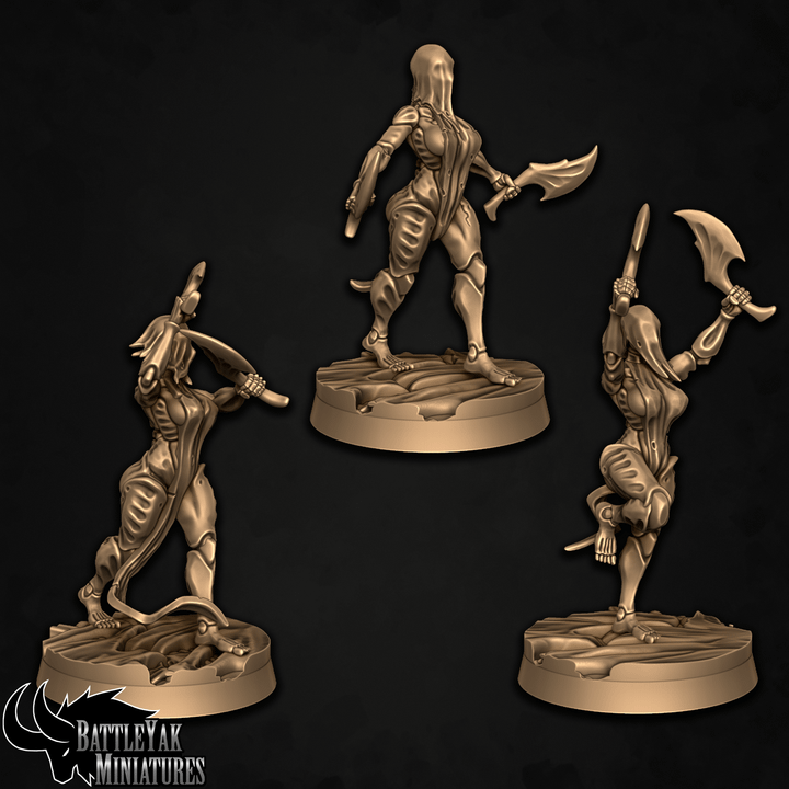 Flaymaidens - Bone Warrior Pinups (3 Variants Available) - Battle Yak