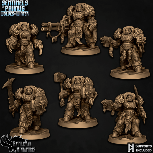 Sentinels of Primus, Winter Wolf Paladins - Set 1 (6 Variants Available) - Battle Yak