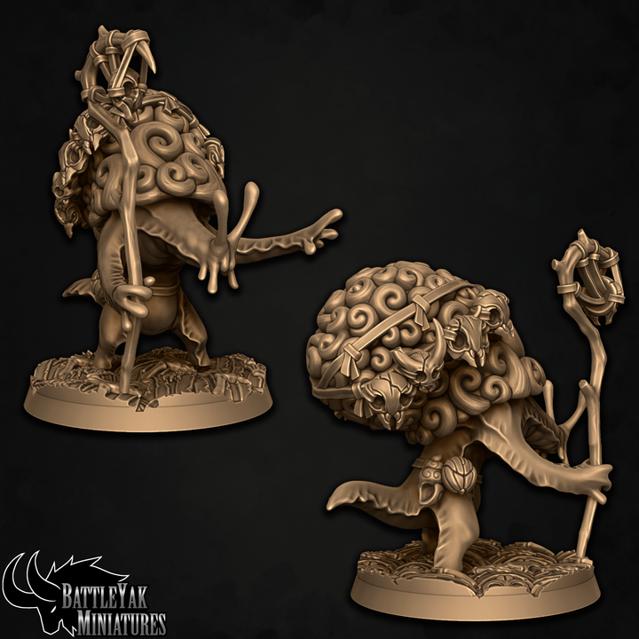 Spiralpath Snailsage, Snail-Folk Mystic - Battle Yak