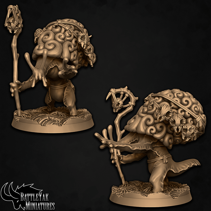 Spiralpath Snailsage, Snail-Folk Mystic - Battle Yak