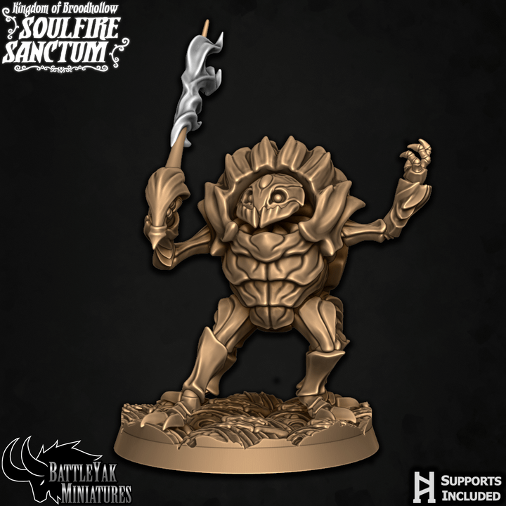 Soulfire Sanctum Warriors - Beetle Folk Spellswords (4 Variants Available) - Battle Yak
