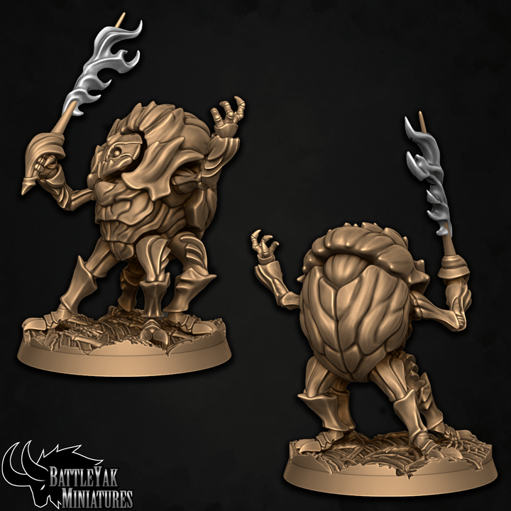 Soulfire Sanctum Warriors - Beetle Folk Spellswords (4 Variants Available) - Battle Yak