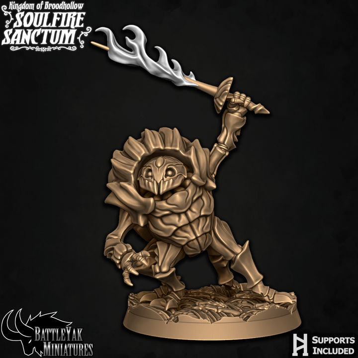 Soulfire Sanctum Warriors - Beetle Folk Spellswords (4 Variants Available) - Battle Yak