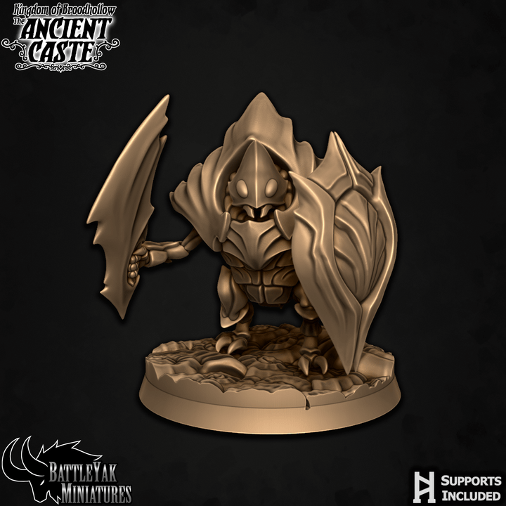 Ancient Caste Steelknights - Beetle Folk Heavy Fighters (6 Variants Available) - Battle Yak