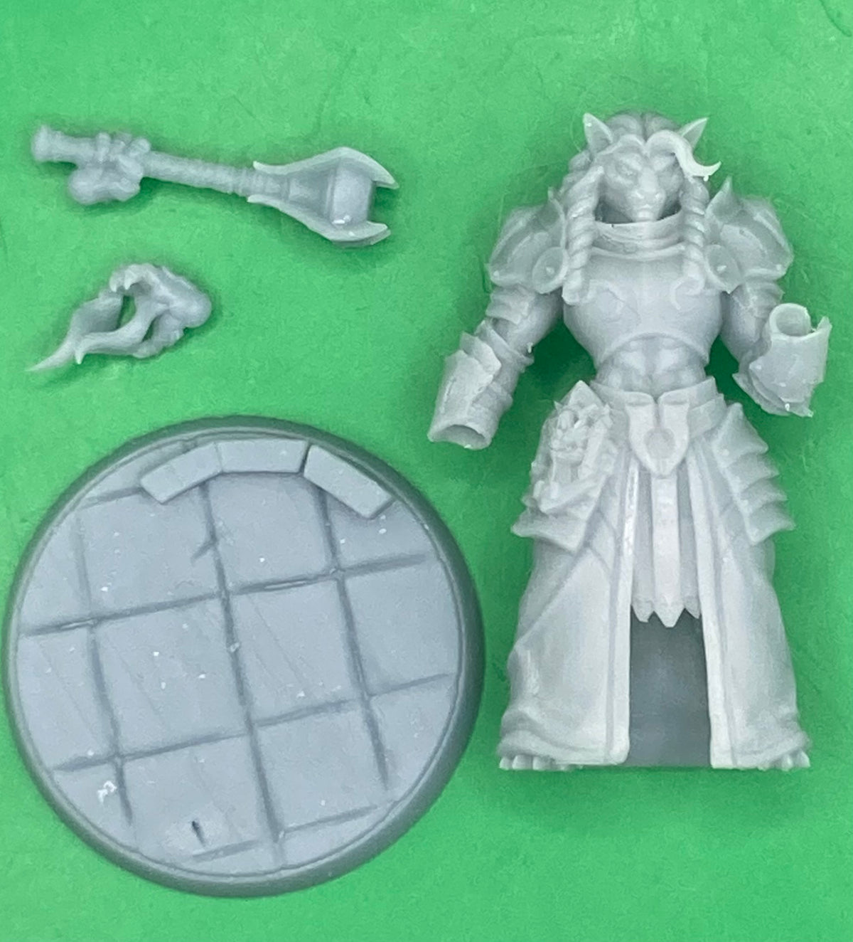 Asha Rinn, Sun Templar - Lion Folk Paladin - Artisan Guild