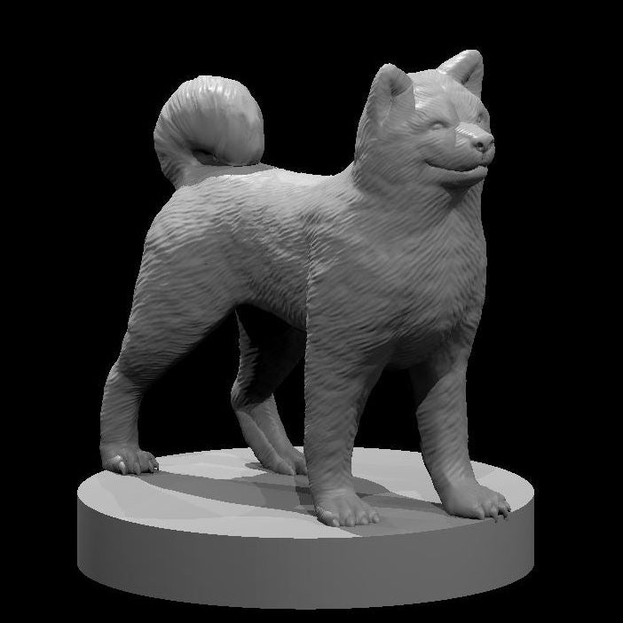 Dogs (3 Variants Available) - MZ4250